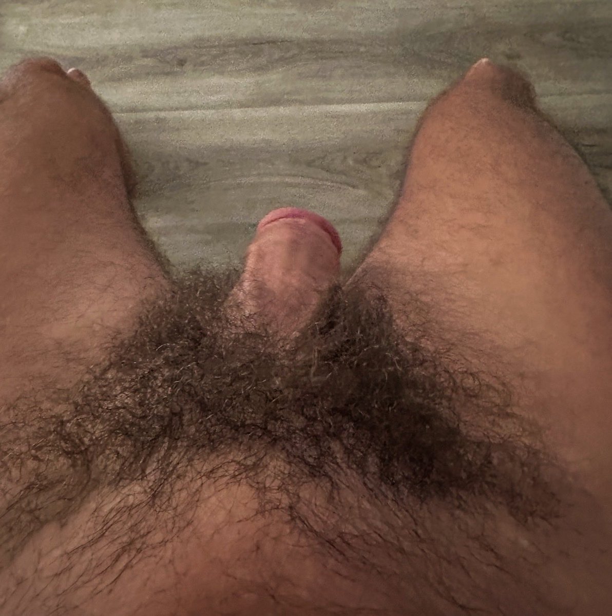 FinDom Alpha God tweet media