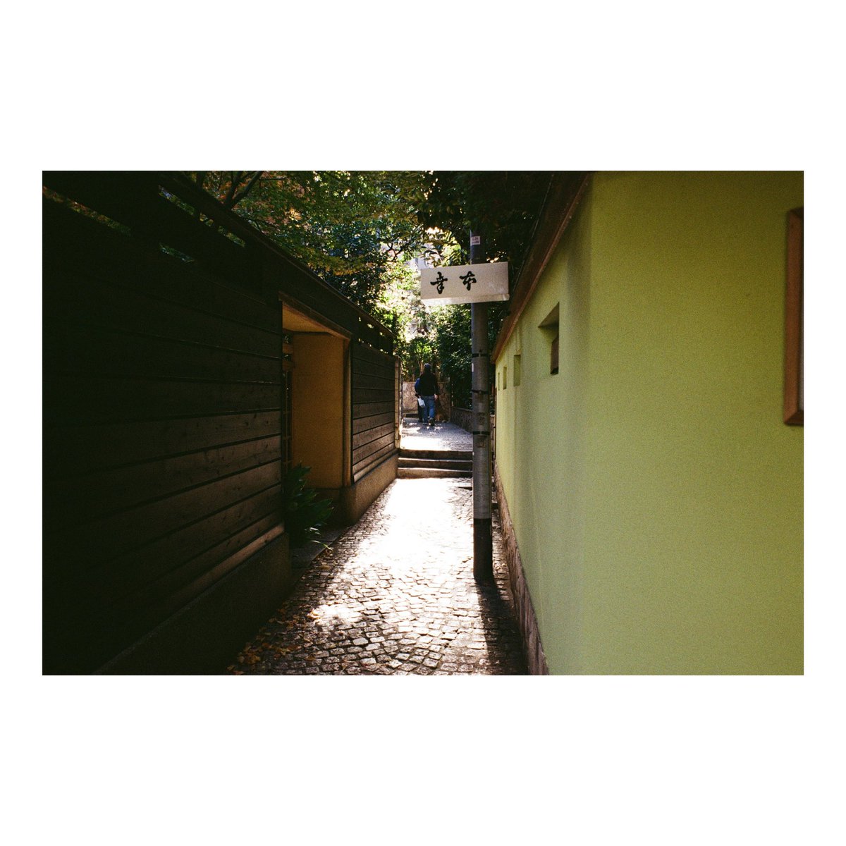 LeoPatriarchXIV's tweet photo. 📷:ASAHI PENTAX SL
🔍:Super Takumar 28mmF3.5
🎞️:FUJIFILM200
#pentaxsl
#takumar
#filmphotography
#フィルム写真
#leopfilm https://t.co/0s6w43Uiqa