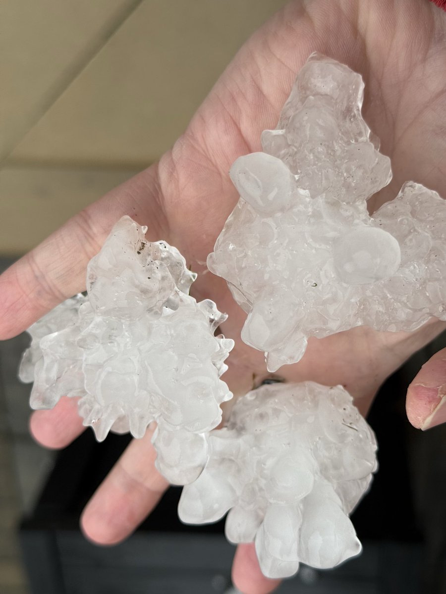 Chicago's Wingman tweet media