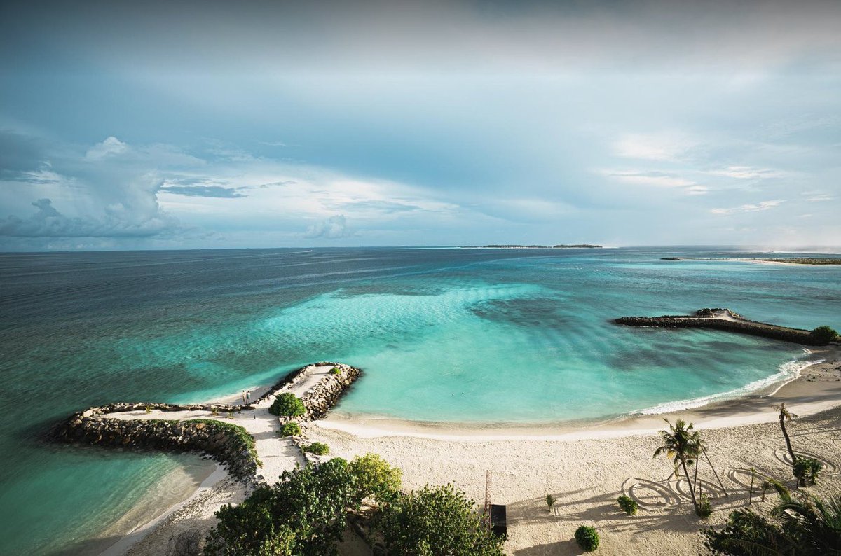 Trieu Hai tweet media