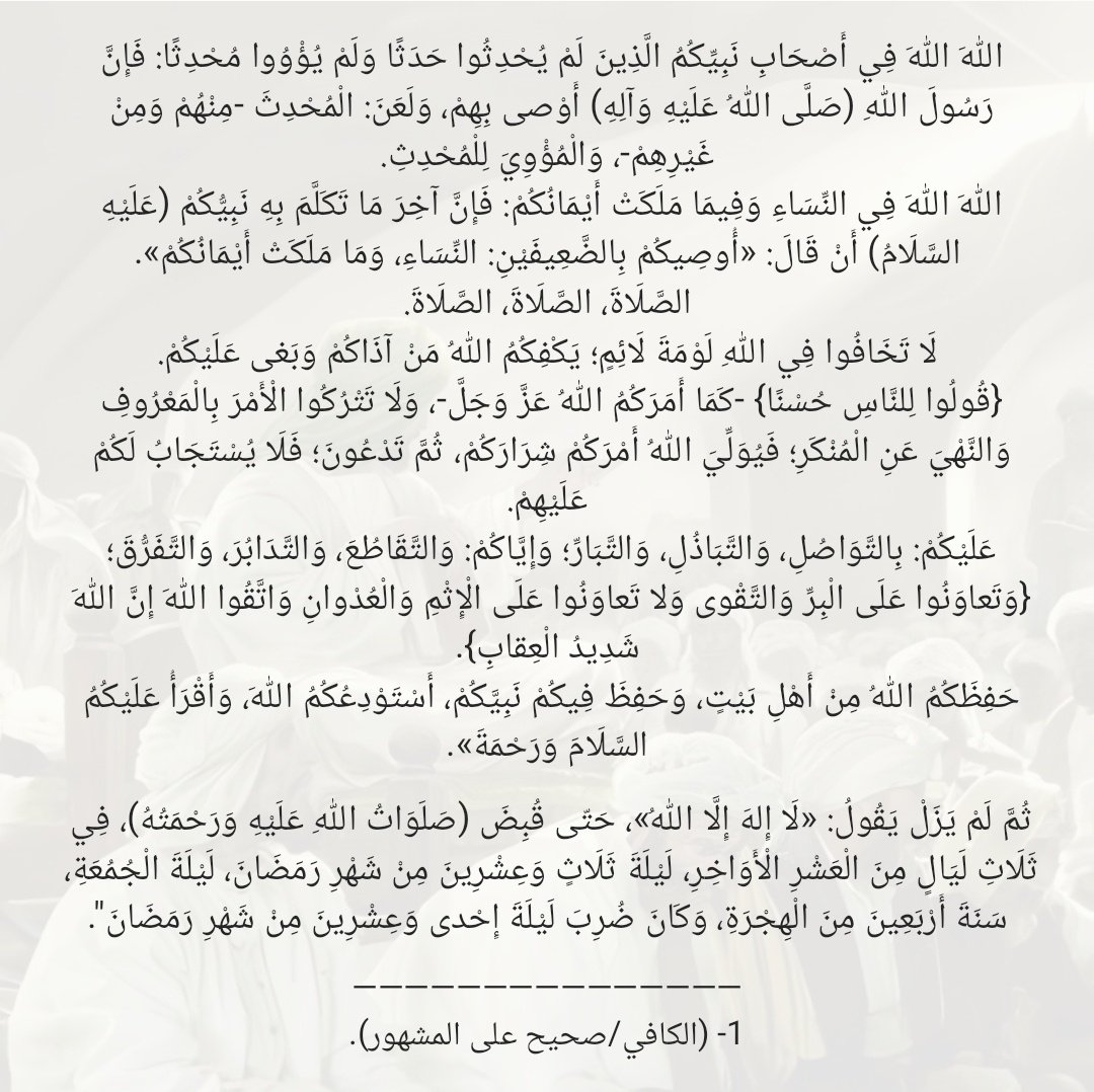 محمد جواد tweet media