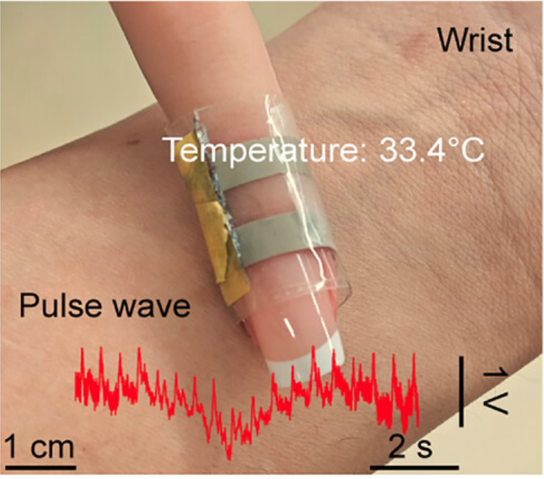 naoji_tokyo's tweet photo. As the skin can perceive various information, including temperature, texture, and softness, our new skin-like sensor can detect multimodal sensations. 我々の皮膚と同じように、温度や表面形状、柔らかさなど様々な情報を感じ取ることができる柔らかいセンサの開発に成功しました。Published in Adv. Mater. Technol.
@AdvPortfolio 
https://t.co/87qL6fDwuq