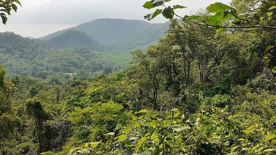 🐘🌿 Explore the wild beauty of #Dalma Wildlife Sanctuary — a lush forest near #Jamshedpur famous for its migrating elephant herds, scenic hills, and diverse wildlife! 🐾🦜 🔗 touristinindia.com/dalma-wildlife… #DalmaWildlifeSanctuary #WildlifeIndia #Elephants #NatureTravel #EcoTourism