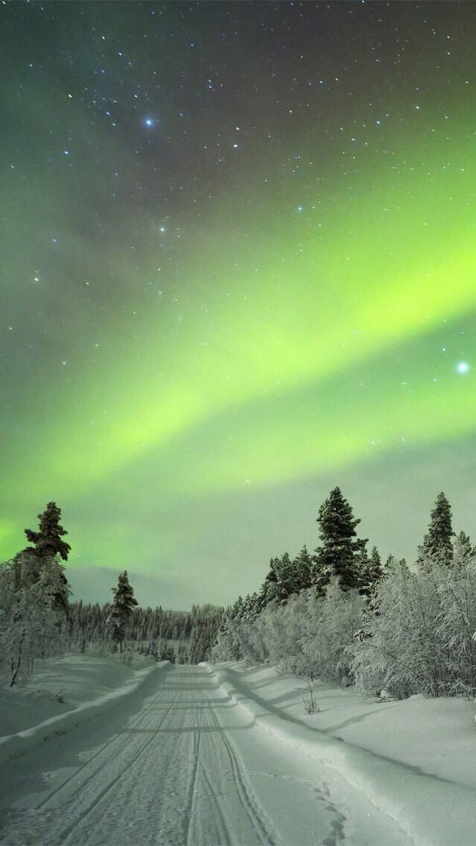 purenature_1's tweet image. Northern lights 🩵💚❄️ #NaturalBeauty