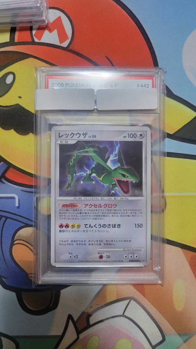 レックウザ企画✨🎁🎉

フォローリポストだけ🤩
簡単だから宜しく
気分で〆