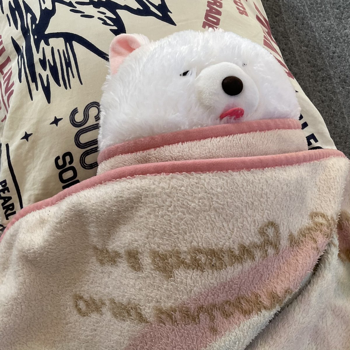 naokinki2's tweet photo. うちの子幼稚園児の時からぬいぐるみ寝かしつけてから登園してたんだけど今でもお気に入りのわんこ寝かしつけてから登校してるの最高にかわいい(来月小4) https://t.co/m4NXdTW5tV