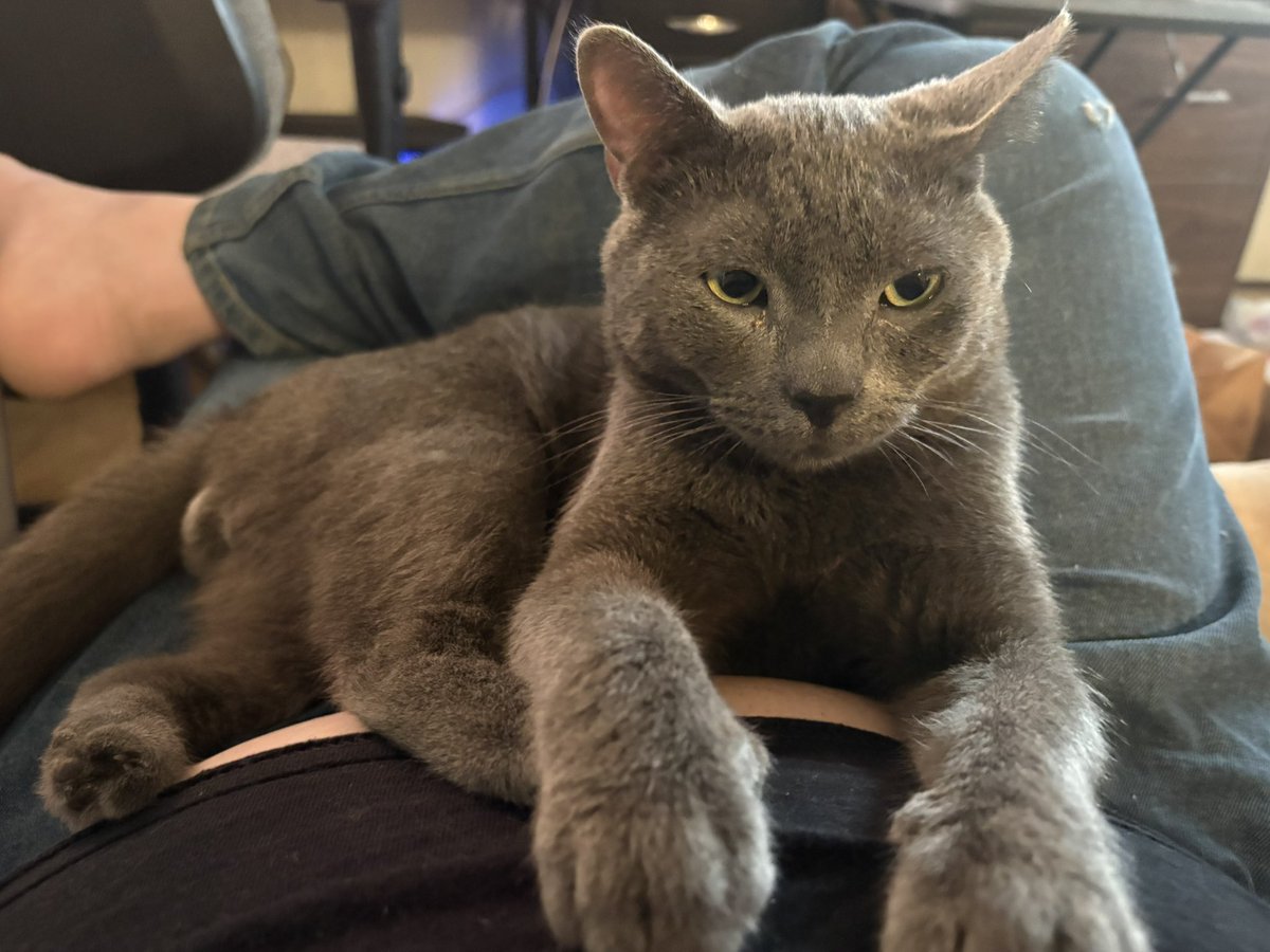 I love my ziggy he’s the best