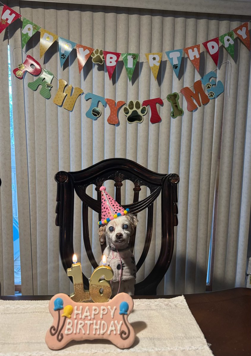 𝐉𝐨𝐞 𝐀𝐝𝐚𝐦 𝐇𝐁𝐂 tweet media