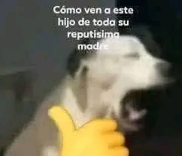  𝐀𝐝𝐚𝐥𝐢ヅ 𝕏 tweet media