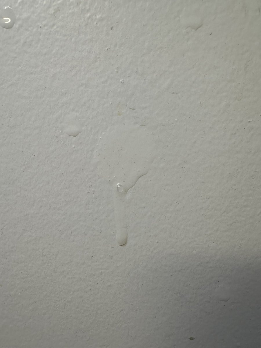 MattyMattX.bsky.social tweet media