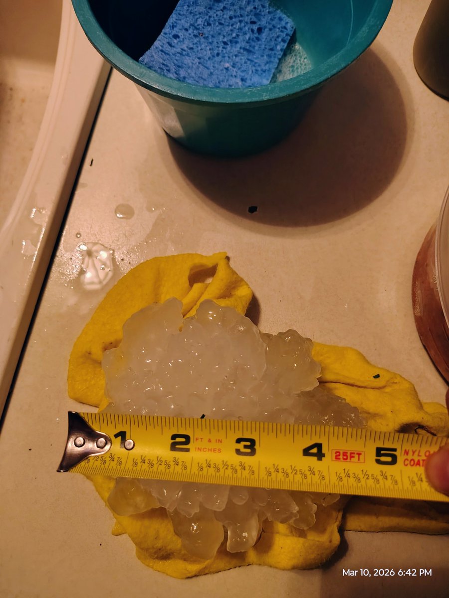 Miguel Baeza tweet media