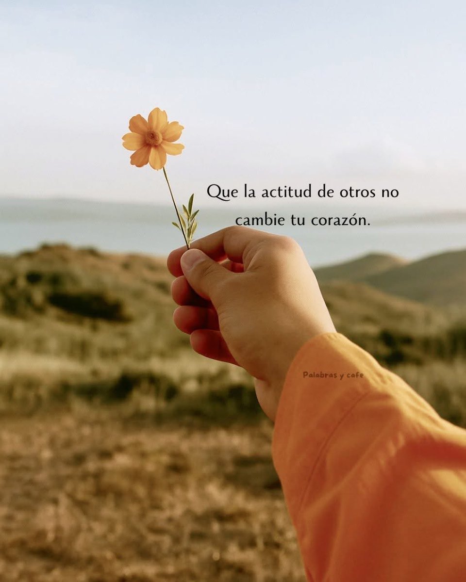 Pensamientos (@frasesimple) on Twitter photo 