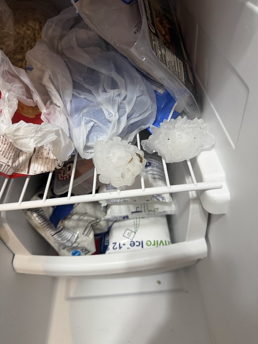 naderchaser tweet media