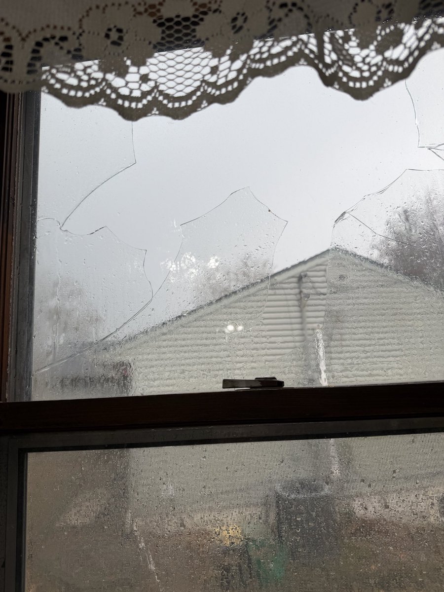 naderchaser tweet media