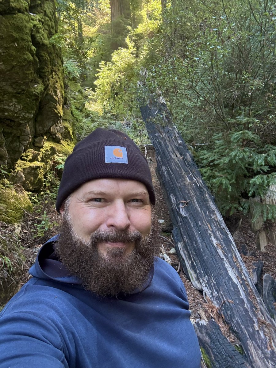 AdaptationsX tweet media