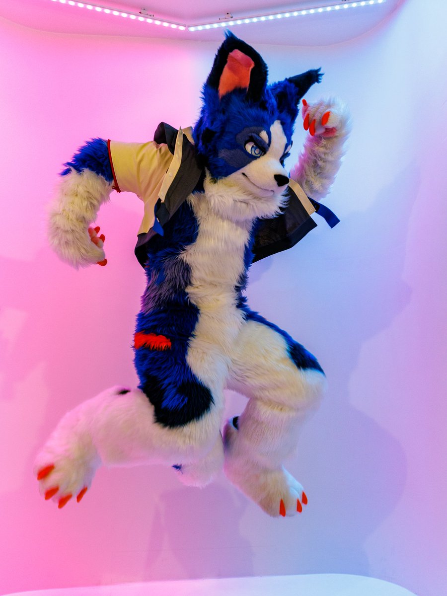 Sparrow🐦 ➡️Furstclass tweet media