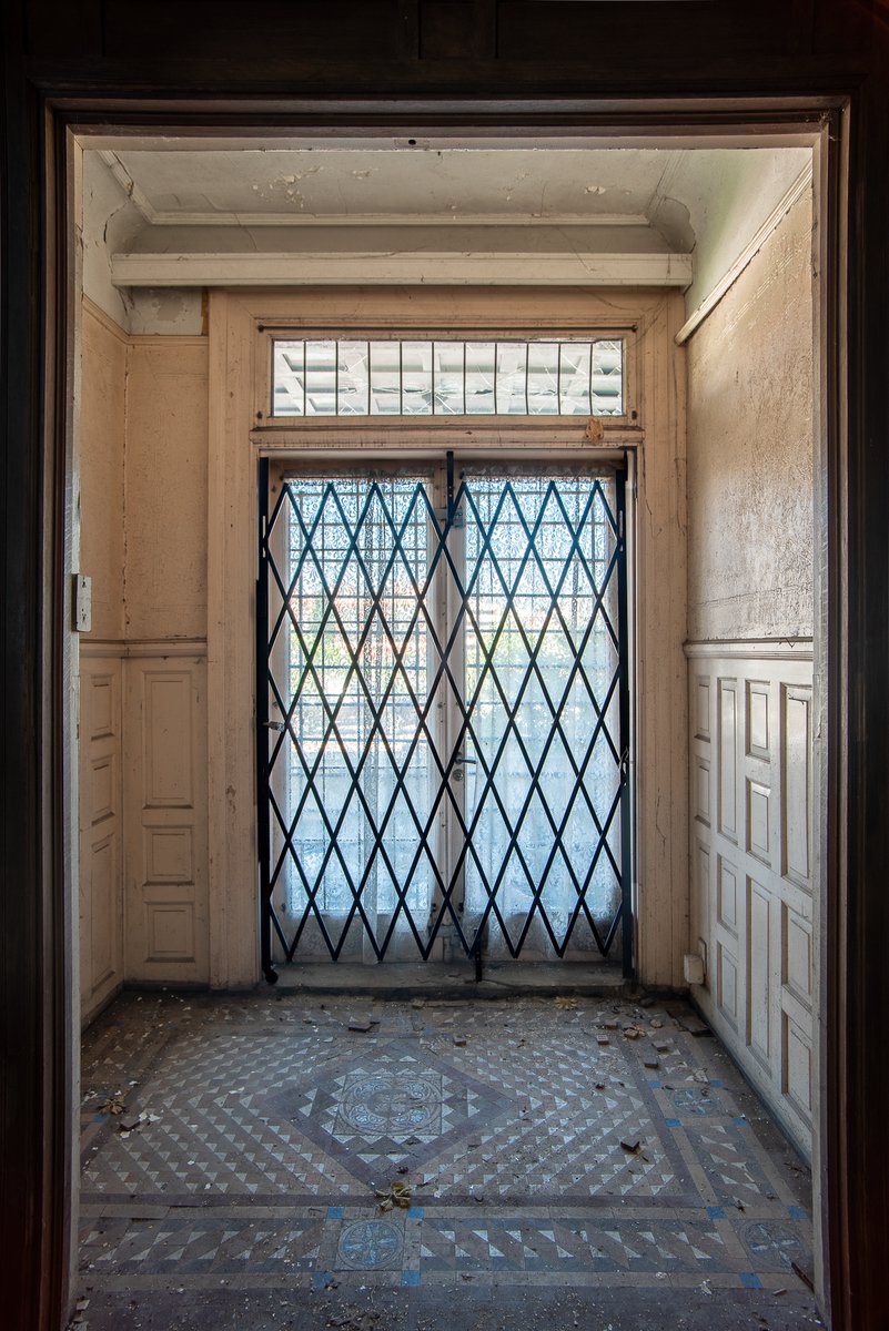 Mr. P. Explores tweet media