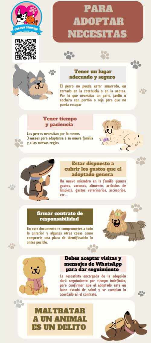 Cuenta Conmigo tweet media