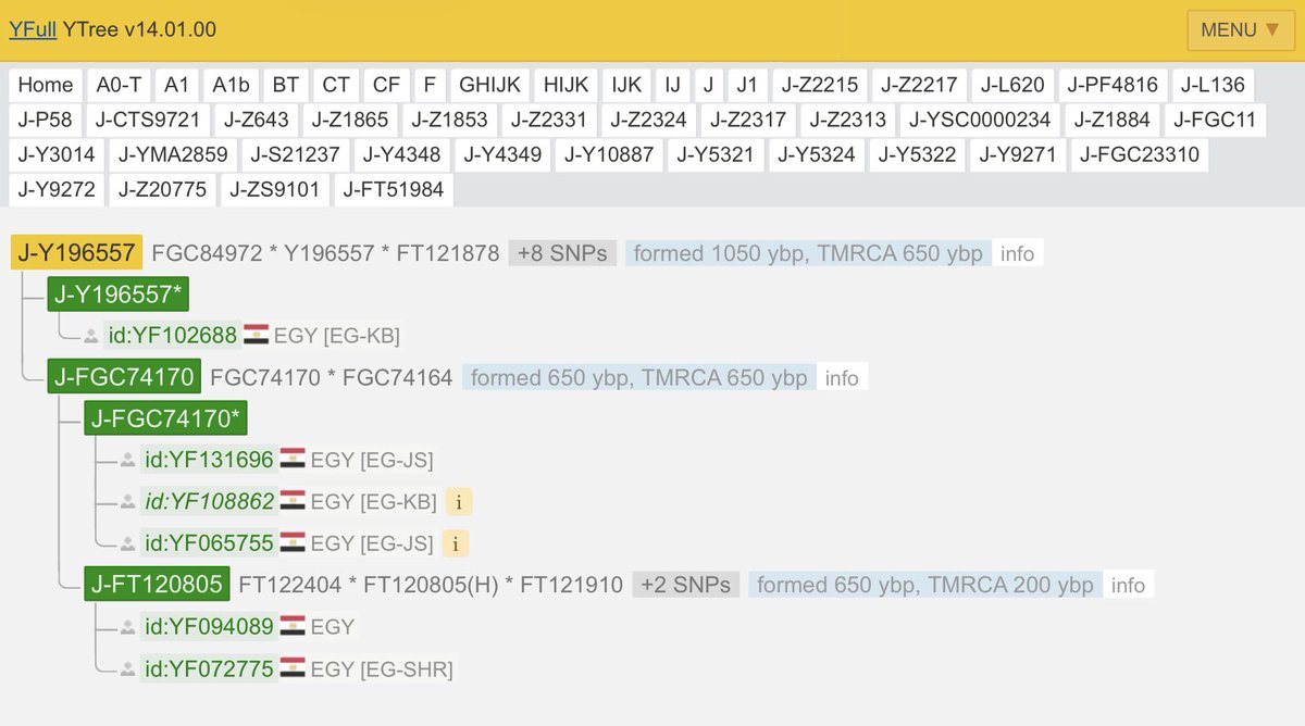 EgyptYDNA's tweet photo. 🇪🇬 ست عينات مصرية Y-DNA — J-Y196557 (قبيلة مزينة، تحت FGC7)

تشكّلت ~1050 ybp، السلف المشترك الأحدث ~650 ybp

تنتمي هذه العينات المصرية إلى السلالة J-Y196557 والفروع المتفرعة عنها.
توجد هذه السلالة تحديداً في عدة محافظات مصرية منها جنوب سيناء، القليوبية، الشرقية والإسماعيلية، وهو ما يعكس انتشار قبيلة مزينة في مصر.

🧬 تفاصيل العينات

العينة 1
YFull ID: YF102688
الاسم: محمد جبريل المزيني
الدولة: مصر
المحافظة: القليوبية
ا��سلالة الأبوية: J-Y196557 (تشكّلت ~1050 ybp، السلف المشترك الأحدث ~650 ybp)
السلالة الأمومية: U9-a

SNP Path
M304>M267>CTS12238>Z2217>L620>PF4832>L136>Z1874>P58>CTS9721>PF4678>Z1865>Z1853>L862>PF4843>YSC0000235>PF4638>Z27715>YSC0000234>L858>FGC11>FGC7638>FGC1722>FGC1720>FGC1723>FGC1695>FGC1707>FGC1705>FGC1721>FGC1696>FGC23310>FGC7>Z20775>ZS9101>FGC84971>FT121878>Y196557

Y-DNA Link
https://t.co/sCELsXhOS4

mtDNA Links
https://t.co/jJ6ciz5rIc
https://t.co/UHtUNyk6QF

العينة 2
YFull ID: YF131696
الاسم: خالد بن فراج بن حميد أبو عيوط المزيني
الدولة: مصر
المحافظة: جنوب سيناء
السلالة الأبوية: J-FGC74170 (تشكّلت ~650 ybp، السلف المشترك الأحدث ~650 ybp)
السلالة الأمومية: L3f1a1c
(تسمية FTDNA: L3f1a1d2)

SNP Path
M304>M267>CTS12238>Z2217>L620>PF4832>L136>Z1874>P58>CTS9721>PF4678>Z1865>Z1853>L862>PF4843>YSC0000235>PF4638>Z27715>YSC0000234>L858>FGC11>FGC7638>FGC1722>FGC1720>FGC1723>FGC1695>FGC1707>FGC1705>FGC1721>FGC1696>FGC23310>FGC7>Z20775>ZS9101>FGC84971>FT121878>Y196557>FGC74170

Y-DNA Link
https://t.co/H1qfNMg6Dc

mtDNA Links
https://t.co/Q63h2JTLPz
https://t.co/4WoYZtz9Pe

العينة 3
YFull ID: YF108862
الدولة: مصر
المحافظة: القليوبية
السلالة الأبوية: J-FGC74170 (تشكّلت ~650 ybp، السلف المشترك الأحدث ~650 ybp)

SNP Path
M304>M267>CTS12238>Z2217>L620>PF4832>L136>Z1874>P58>CTS9721>PF4678>Z1865>Z1853>L862>PF4843>YSC0000235>PF4638>Z27715>YSC0000234>L858>FGC11>FGC7638>FGC1722>FGC1720>FGC1723>FGC1695>FGC1707>FGC1705>FGC1721>FGC1696>FGC23310>FGC7>Z20775>ZS9101>FGC84971>FT121878>Y196557>FGC74170

Y-DNA Link
https://t.co/H1qfNMg6Dc

العينة 4
YFull ID: YF065755
الدولة: مصر
المحافظة: جنوب سيناء
السلالة الأبوية: J-FGC74170 (تشكّلت ~650 ybp، السلف المشترك الأحدث ~650 ybp)

SNP Path
M304>M267>CTS12238>Z2217>L620>PF4832>L136>Z1874>P58>CTS9721>PF4678>Z1865>Z1853>L862>PF4843>YSC0000235>PF4638>Z27715>YSC0000234>L858>FGC11>FGC7638>FGC1722>FGC1720>FGC1723>FGC1695>FGC1707>FGC1705>FGC1721>FGC1696>FGC23310>FGC7>Z20775>ZS9101>FGC84971>FT121878>Y196557>FGC74170

Y-DNA Link
https://t.co/H1qfNMg6Dc

العينة 5
YFull ID: YF094089
الاسم: اولاد دهشان المزيني
النصيرات الشذاذنة من مزينة
الدولة: مصر
المحافظة: الإسماعيلي��
السلالة الأبوية: J-FT120805 (تشكّلت ~650 ybp، السلف المشترك الأحدث ~200 ybp)
السلالة الأمومية: X2b-a20
(تسمية FTDNA: X2b48)

SNP Path
M304>M267>CTS12238>Z2217>L620>PF4832>L136>Z1874>P58>CTS9721>PF4678>Z1865>Z1853>L862>PF4843>YSC0000235>PF4638>Z27715>YSC0000234>L858>FGC11>FGC7638>FGC1722>FGC1720>FGC1723>FGC1695>FGC1707>FGC1705>FGC1721>FGC1696>FGC23310>FGC7>Z20775>ZS9101>FGC84971>FT121878>Y196557>FGC74170>FT120805

Y-DNA Link
https://t.co/63uC6F10vM

mtDNA Links
https://t.co/yWlE8PVXrx
https://t.co/ki454UK6nd

العينة 6
YFull ID: YF072775
الدولة: مصر
المحافظة: الشرقية
السلالة الأبوية: J-FT120805 (تشكّلت ~650 ybp، السلف المشترك الأحدث ~200 ybp)

SNP Path
M304>M267>CTS12238>Z2217>L620>PF4832>L136>Z1874>P58>CTS9721>PF4678>Z1865>Z1853>L862>PF4843>YSC0000235>PF4638>Z27715>YSC0000234>L858>FGC11>FGC7638>FGC1722>FGC1720>FGC1723>FGC1695>FGC1707>FGC1705>FGC1721>FGC1696>FGC23310>FGC7>Z20775>ZS9101>FGC84971>FT121878>Y196557>FGC74170>FT120805

Y-DNA Link
https://t.co/63uC6F10vM

🗺 ملاحظة الخريطة
المسارات الظاهرة في الخرائط الجينية هي مسارات توضيحية تقريبية.
وهي تمثل بنية التفرعات الجينية ولا تعني بالضرورة مسارات هجرة تاريخية دقيقة.

#Y196557 #FGC74170 #FT120805 #FGC7 #FGC4423 #FGC4422 #FGC4415 #FGC1695 #PopulationGenetics #YDNA #FTDNA #YFull #Egypt #Sinai #Sharqiyah #Qalyubiyah #Ismailiyah