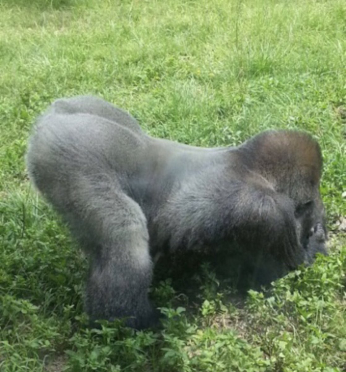 yuki ⋆˚࿔ tweet media