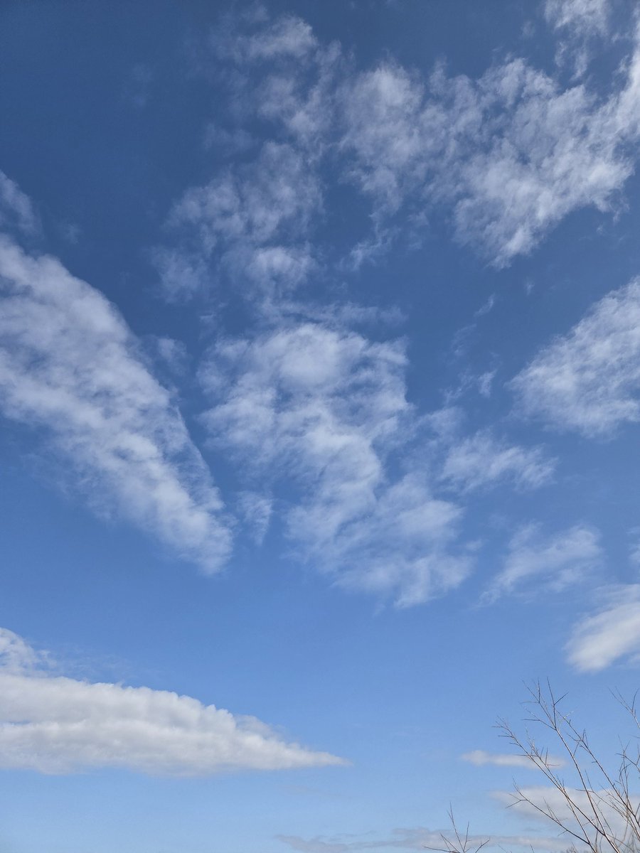 10sakura0519's tweet photo. 朝、空を見上げるのが日課になってしまった？それはよいこと！空が広い https://t.co/wek411EFGK