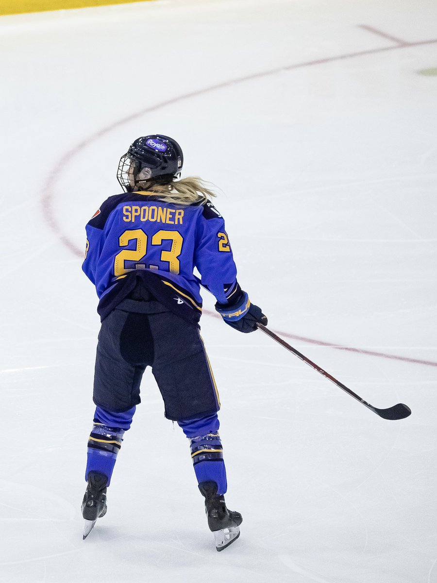 Toronto Sceptres tweet media