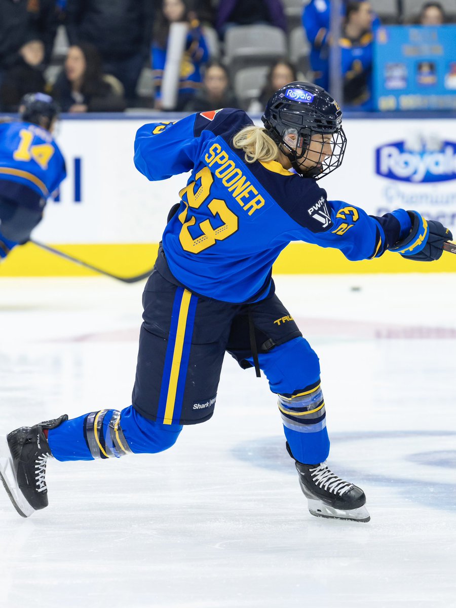 Toronto Sceptres tweet media