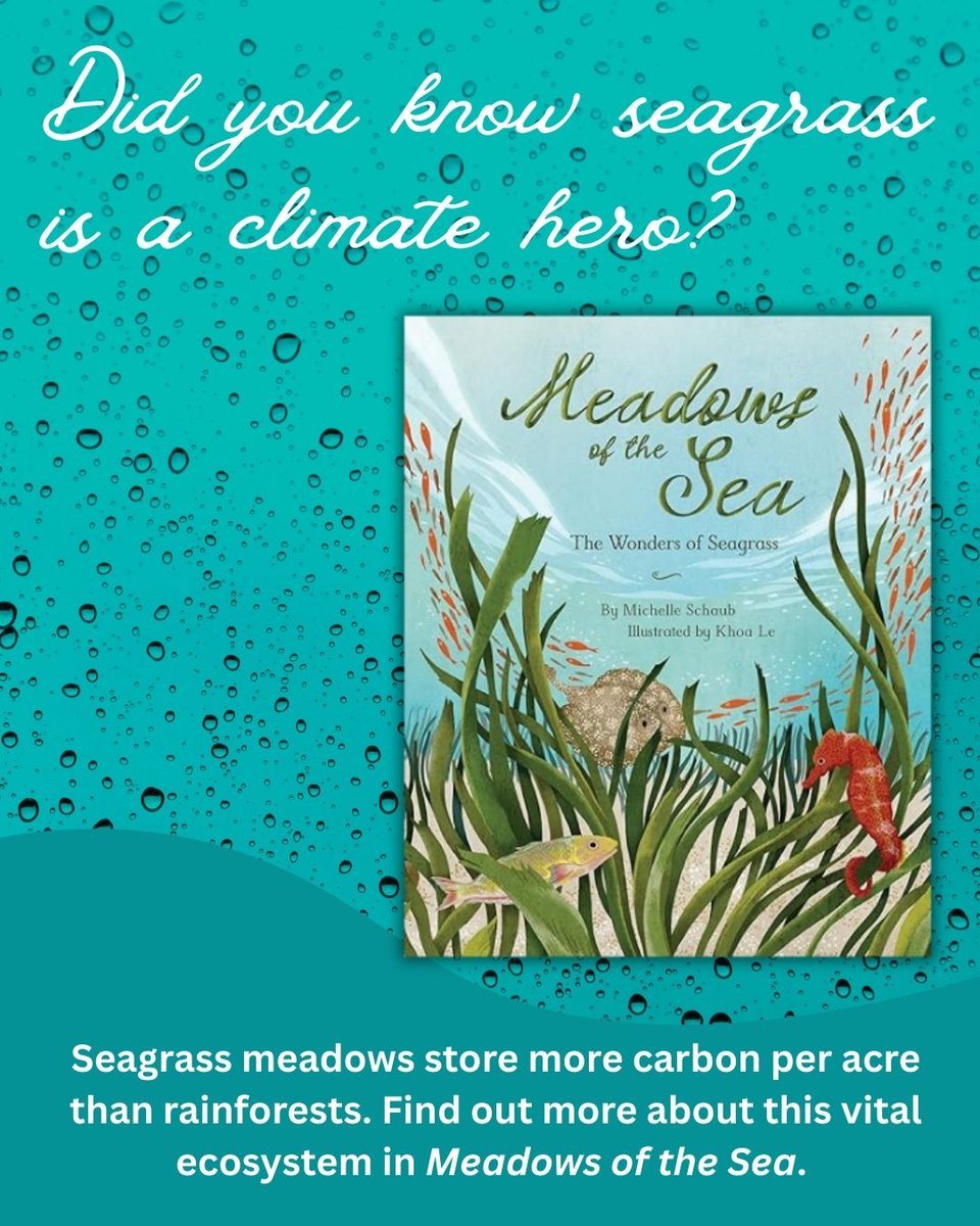 Michelle Schaub tweet media