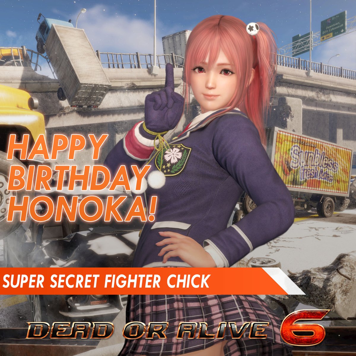 Official DEAD OR ALIVE Fighting Game tweet media
