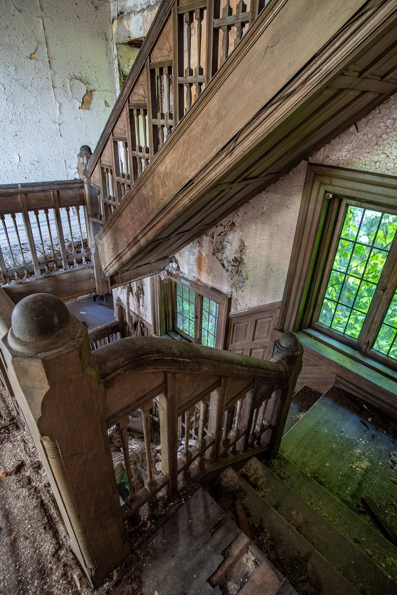 Mr. P. Explores tweet media