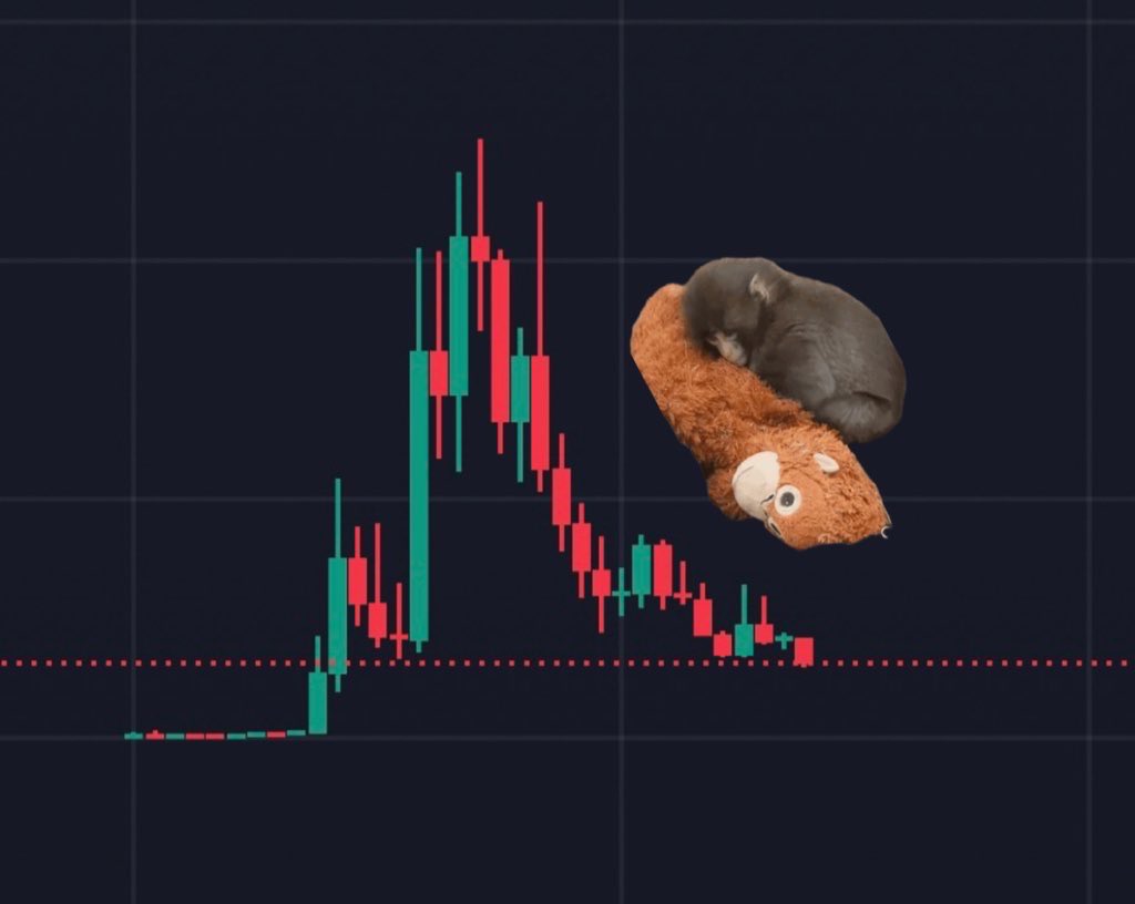 sharkfc 🦈 tweet media