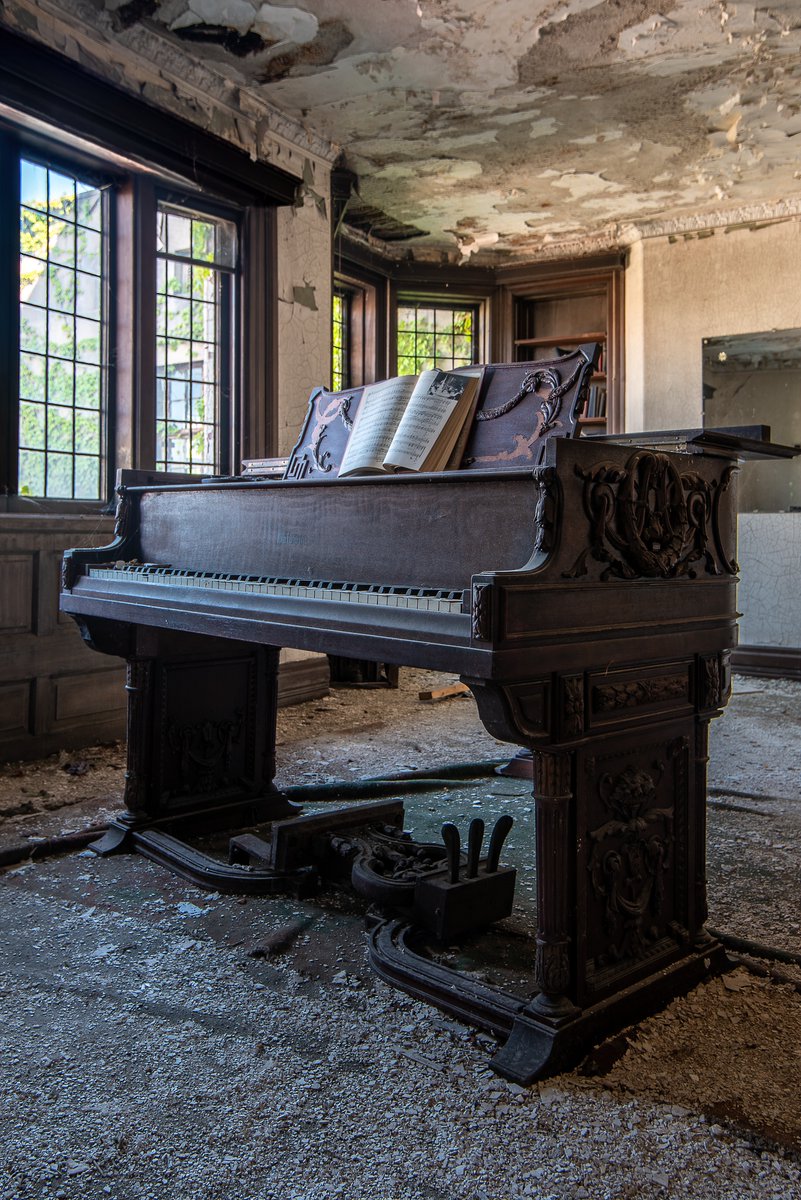 Mr. P. Explores tweet media