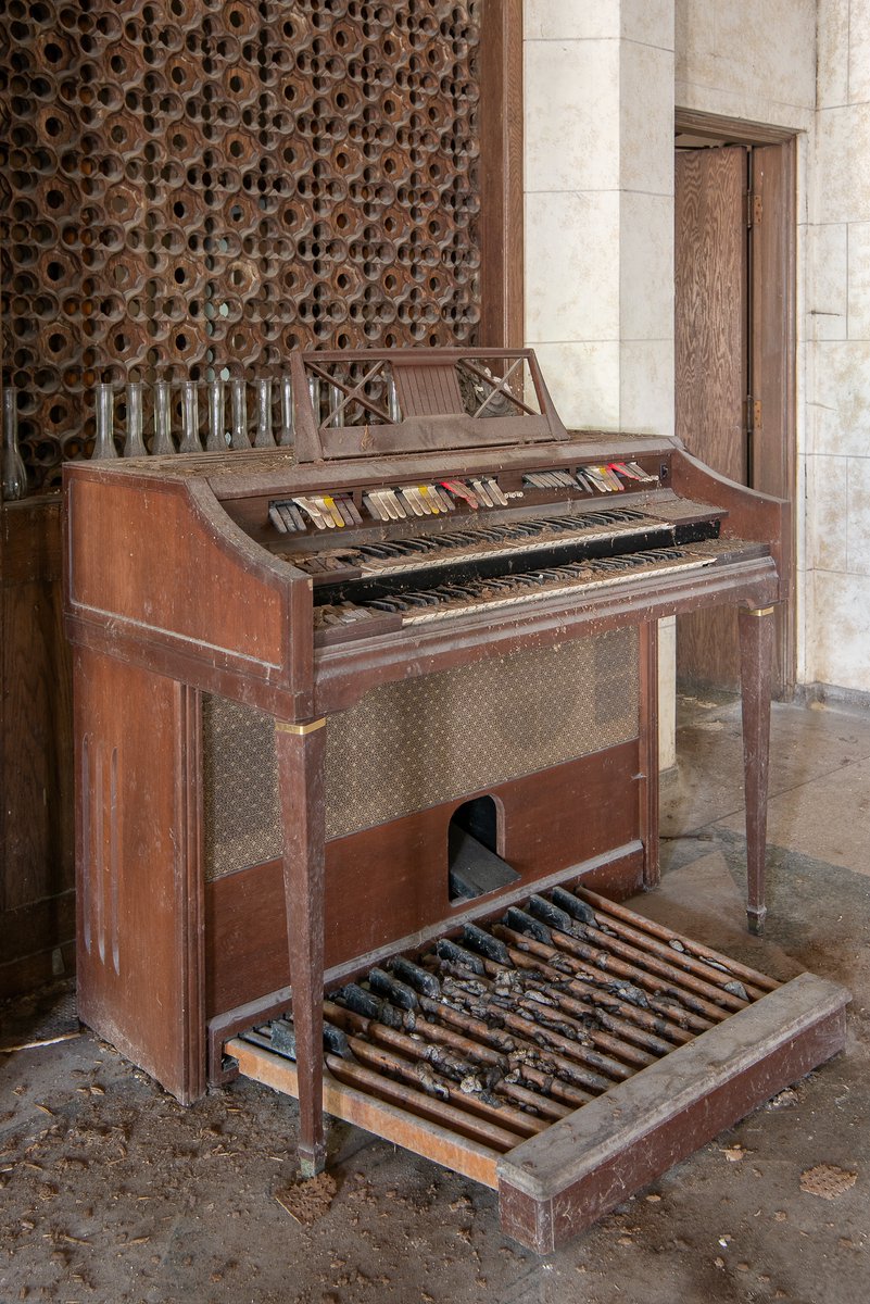 Mr. P. Explores tweet media