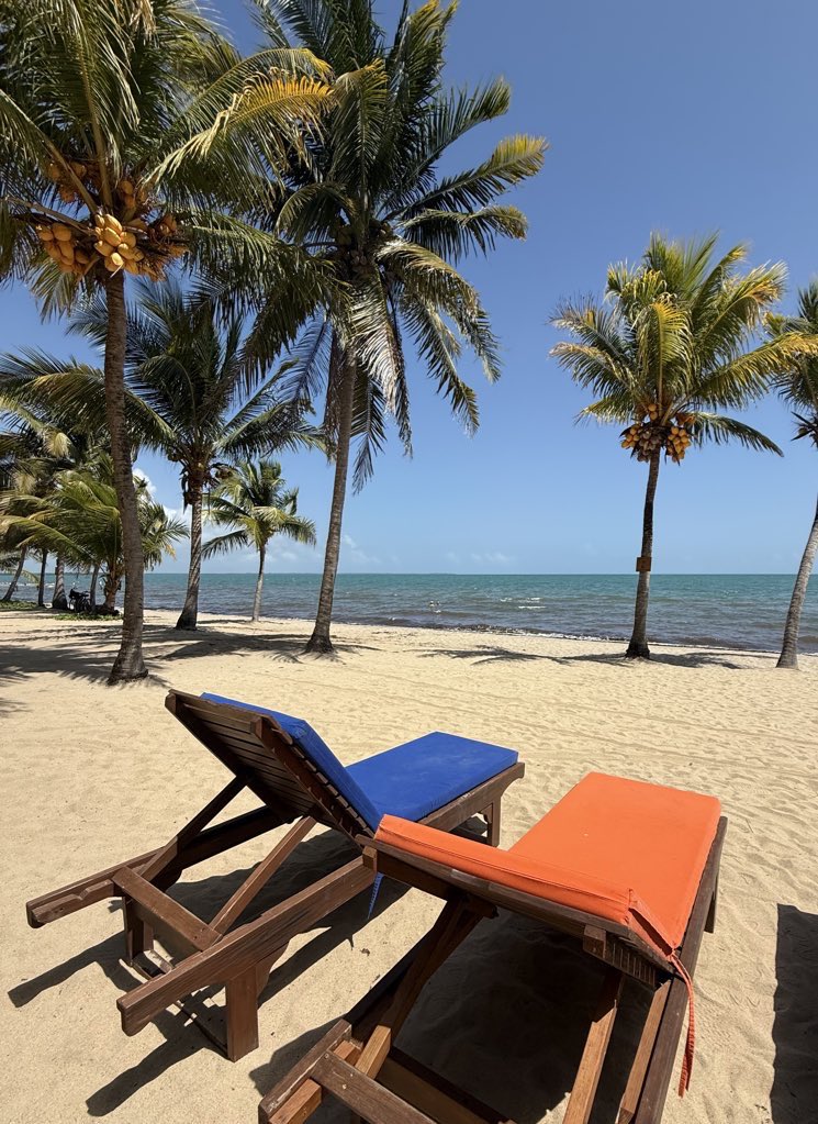 tinsman's tweet photo. When you go on vacation and the universe is telling you it’s the Chicago Bears’ year! https://t.co/uNllftWsfO