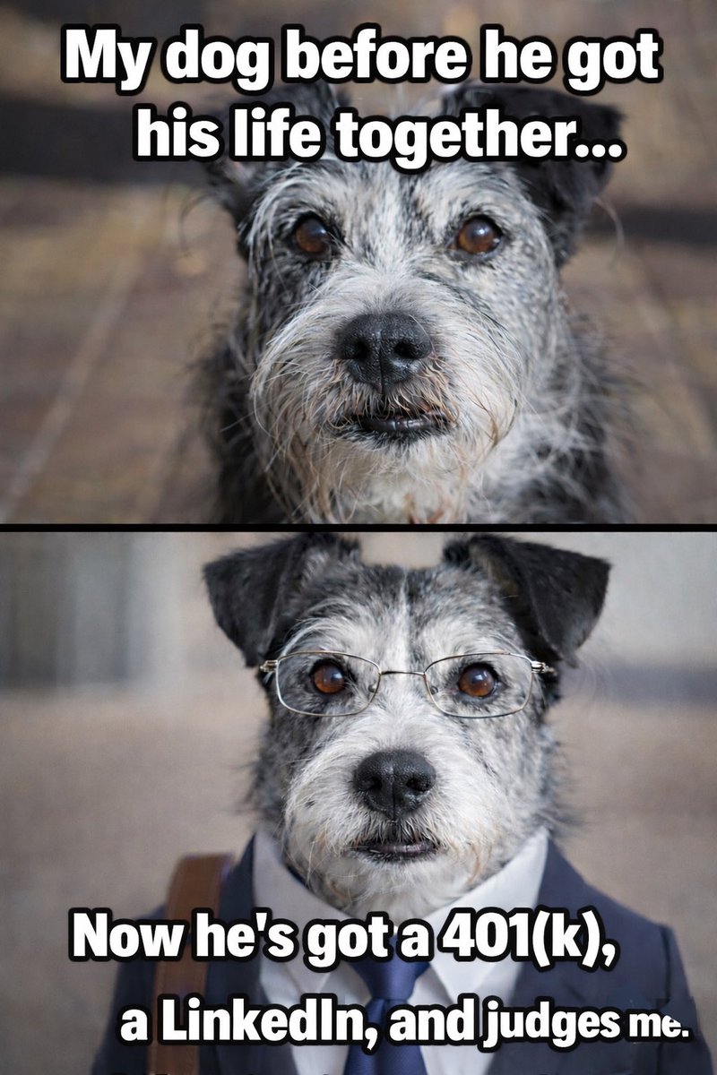 Dan Hawk tweet media