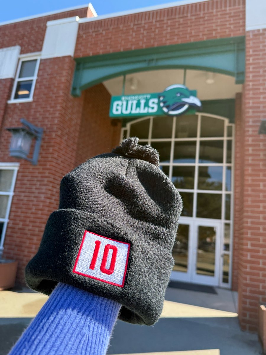 lisa freed tweet media