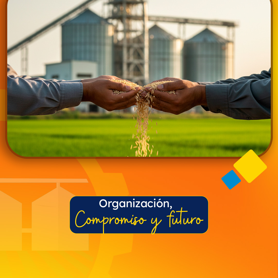 Asociación de Molineros de Panamá tweet media