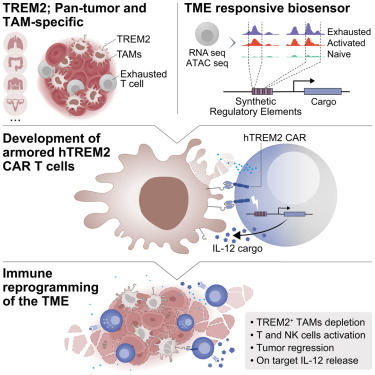Cancer Cell tweet media