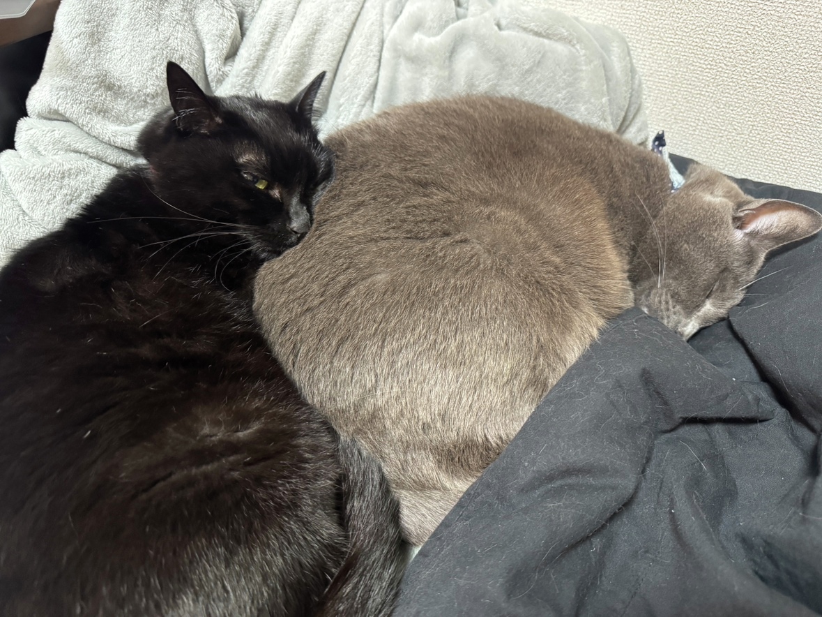 日動工業株式会社【公式】 tweet media