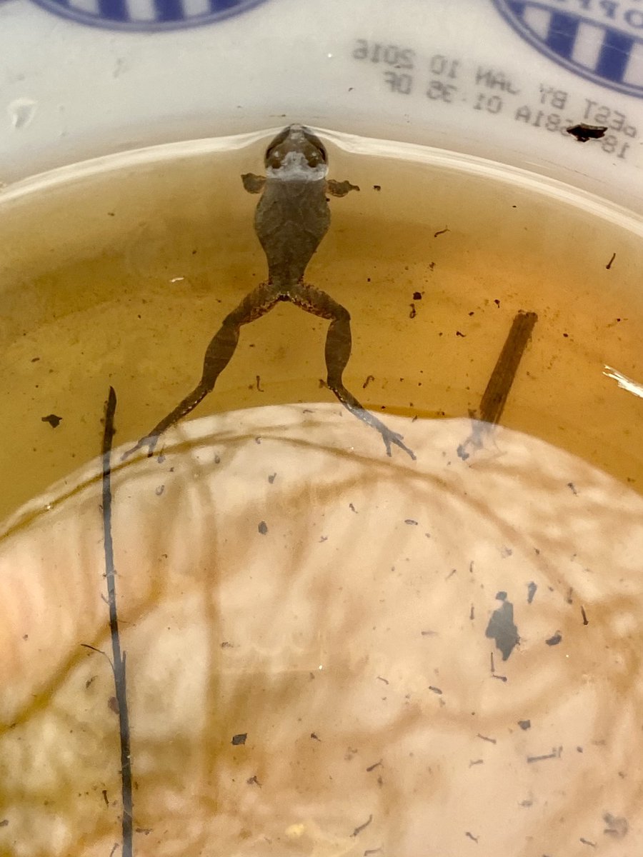 Nate Eppink tweet media