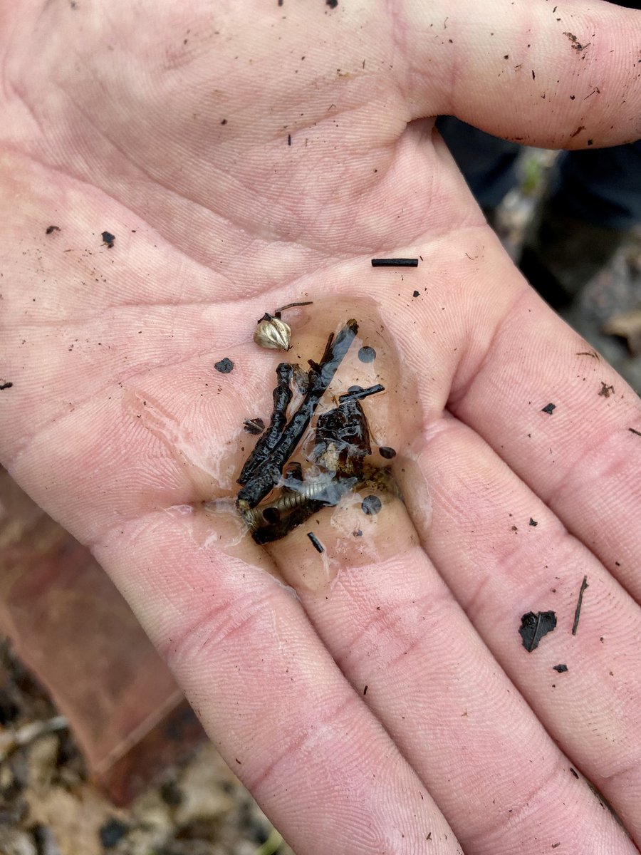 Nate Eppink tweet media