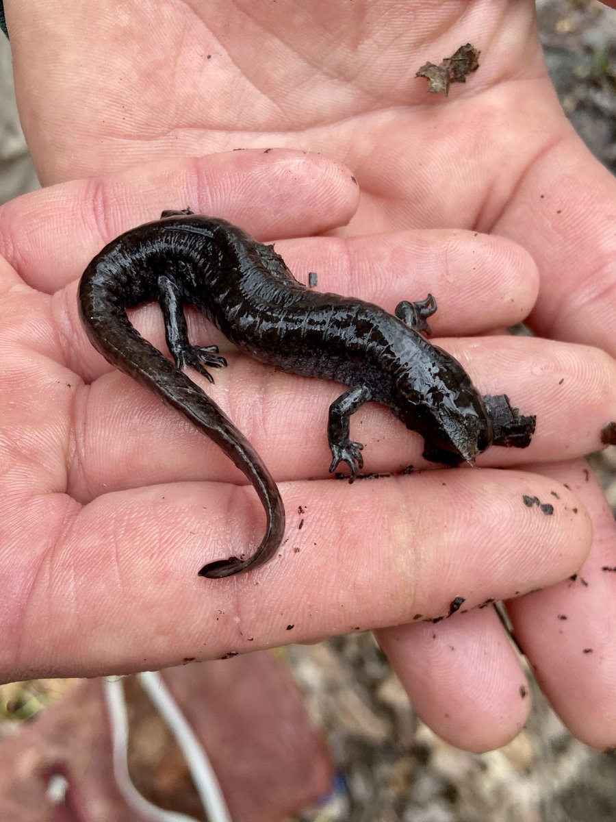 Nate Eppink tweet media