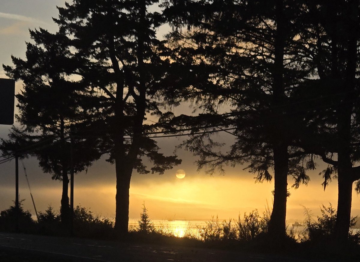 Acetylene Man (@idi_syndicalist) on Twitter photo 