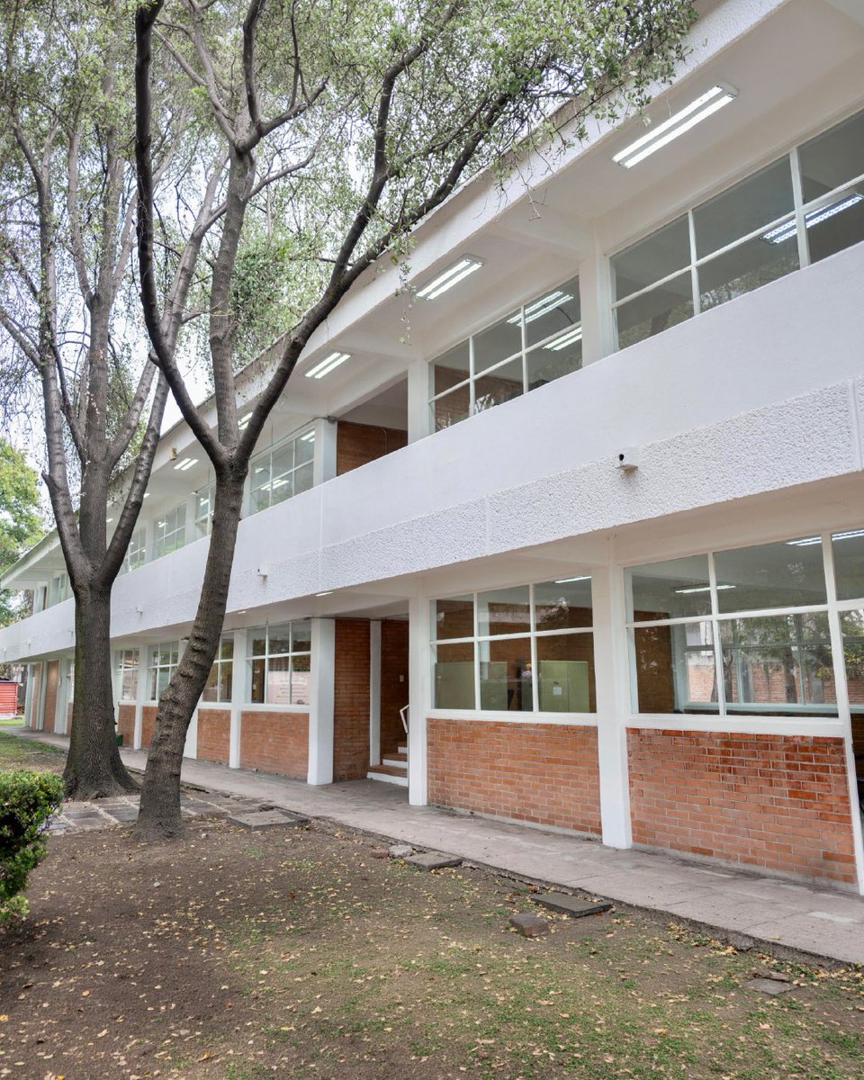 Claudia Curiel de Icaza tweet media