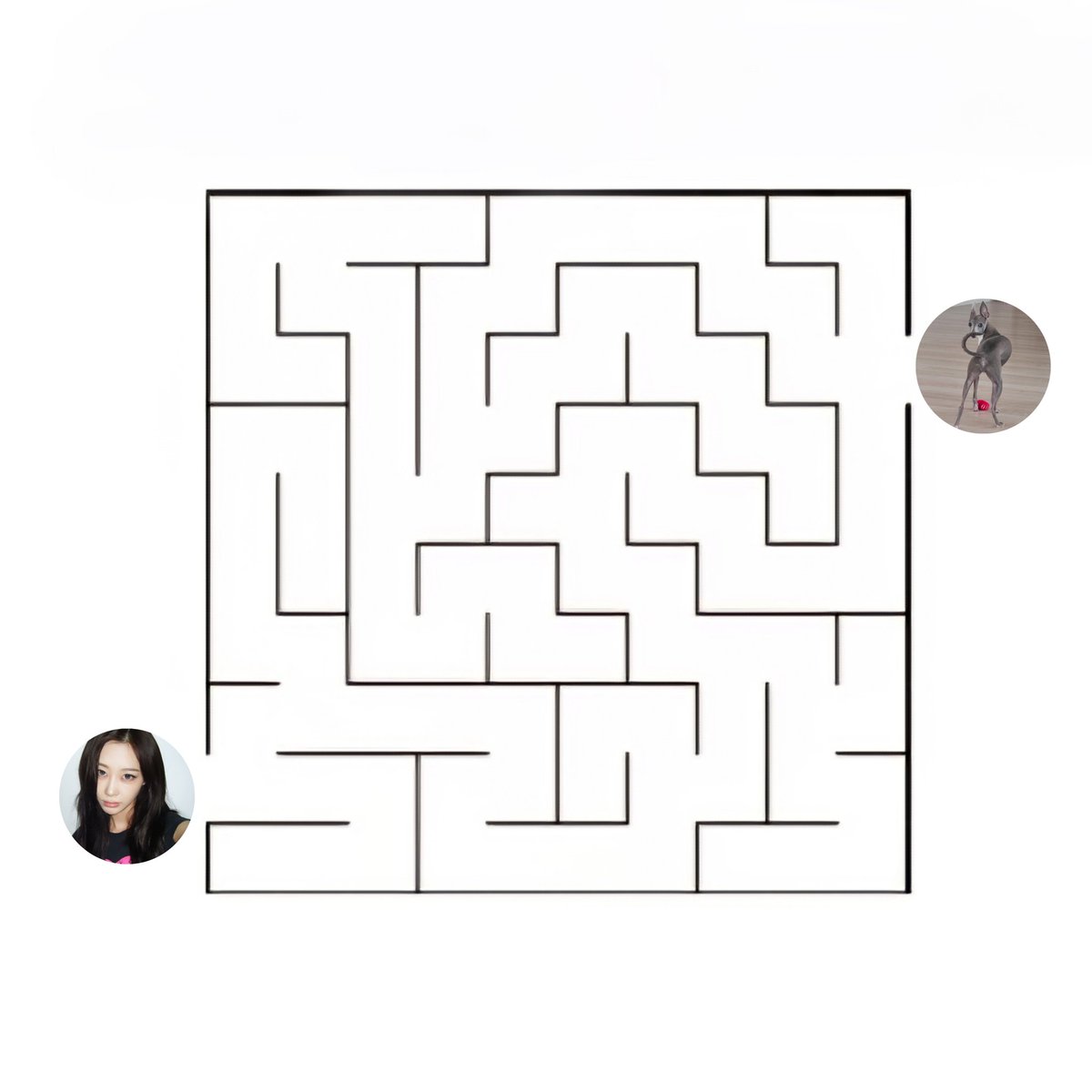 ❦ : Tale of Moon Goddess, 아름다움은 결코 사라지지 않는다. tweet media