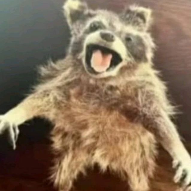 definitely not princushion tweet media