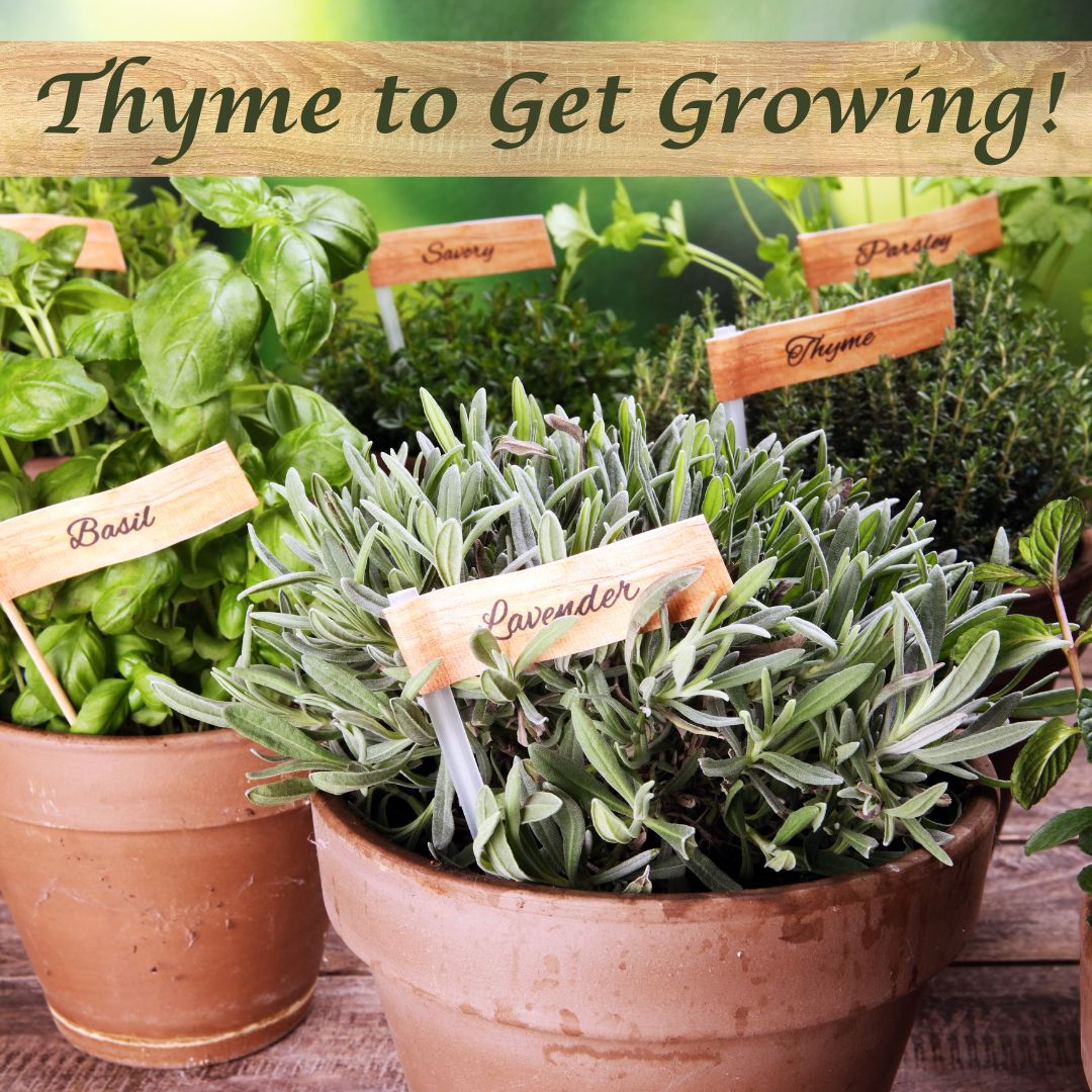 Jenise Gato aka "The Peaceful Agent" tweet media