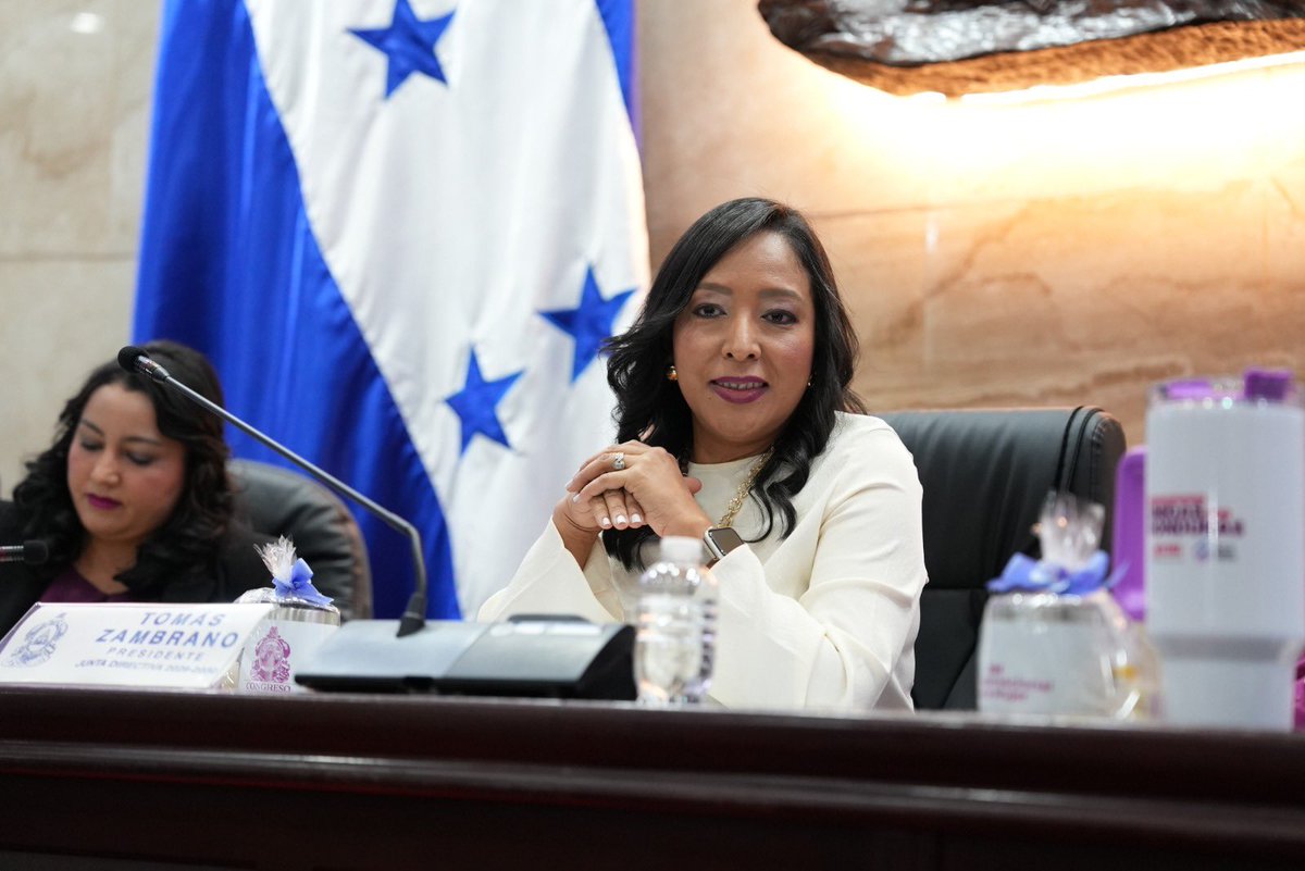 Proyecto | Lissi Matute Cano | Partido Nacional 

Proyecto para ampliar las casas refugio para mujeres que han sufrido violencia en los departamentos donde aún no existen en Honduras. 

Valle, Yoro, Gracias a Dios, Ocotepeque, Colón, Comayagua, La Paz, y Choluteca.