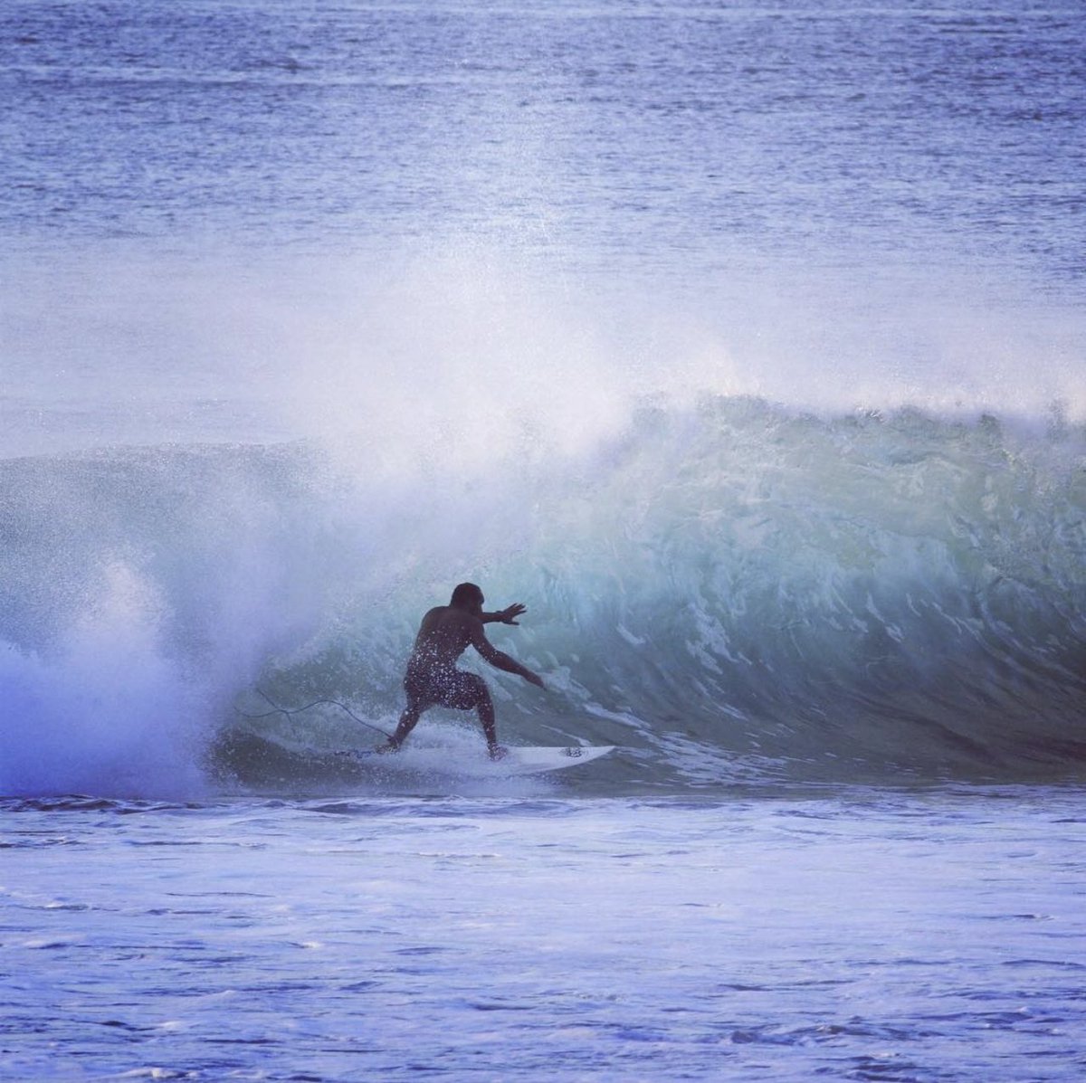 Satoshis_Dragon ⚡💧 🌋 tweet media