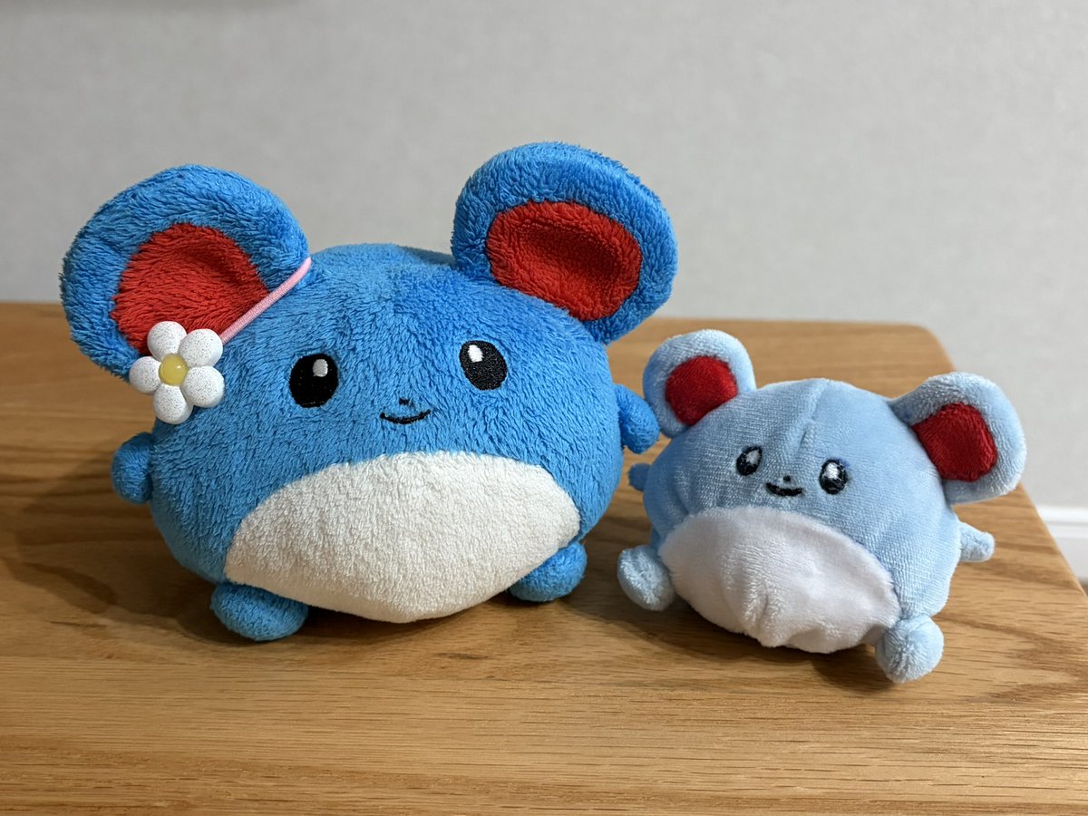 毎日ちょっとずつ縫ってまりちゃん完成しました☺️
#メイドバイわた